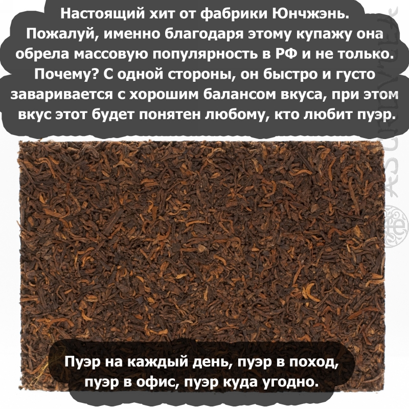 PUERH-08-04