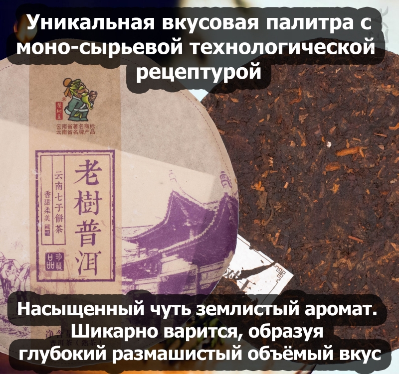 PUERH-09-02
