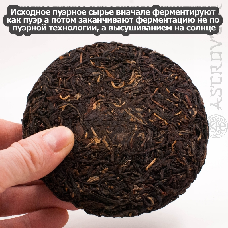 PUERH-13-04