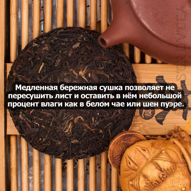 PUERH-13-06