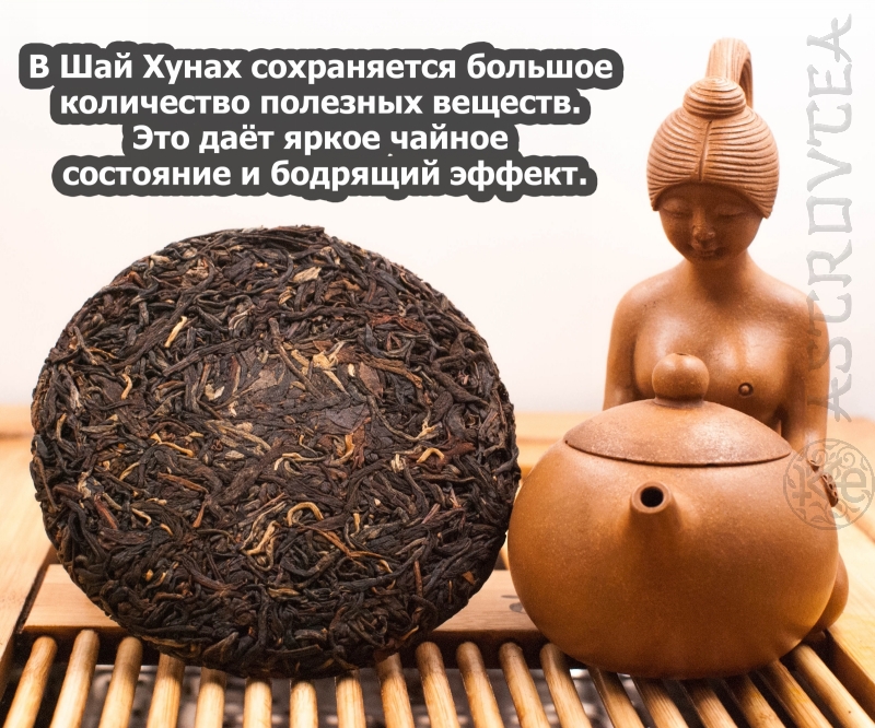 PUERH-13-07