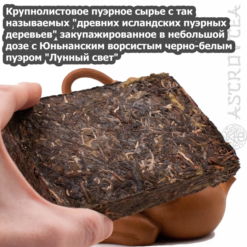 PUERH-15-03