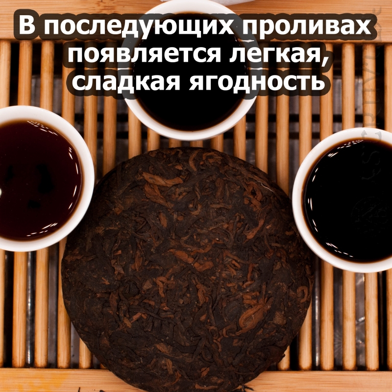 PUERH-19-06